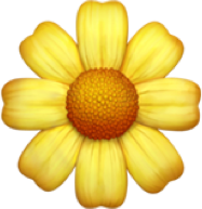 Quel parfum choisir ?